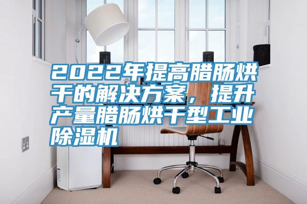 2022年提高臘腸烘干的解決方案，提升產量臘腸烘干型工業除濕機