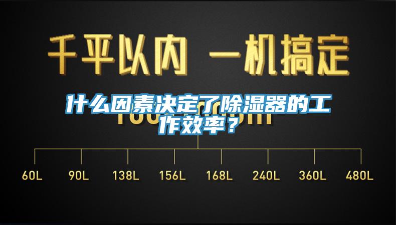 什么因素決定了除濕器的工作效率？