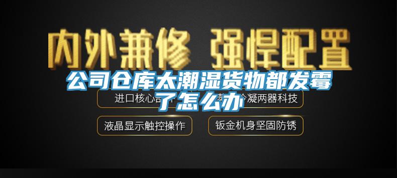 公司倉庫太潮濕貨物都發霉了怎么辦