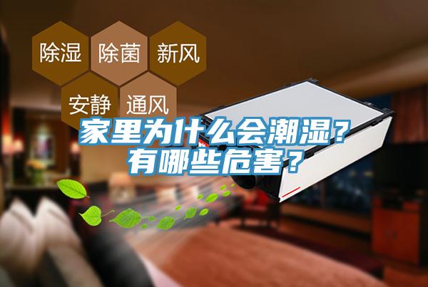 家里為什么會(huì)潮濕？有哪些危害？