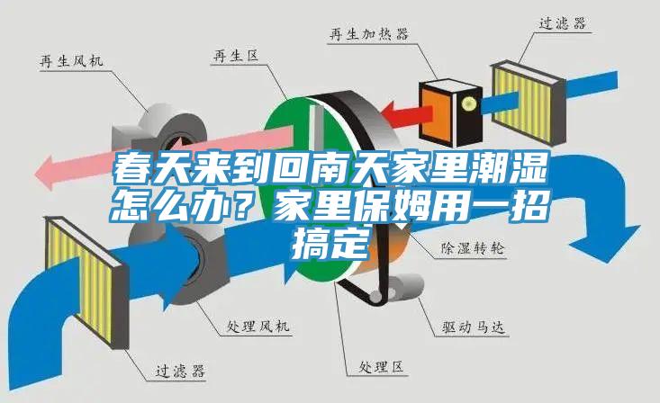 春天來到回南天家里潮濕怎么辦？家里保姆用一招搞定