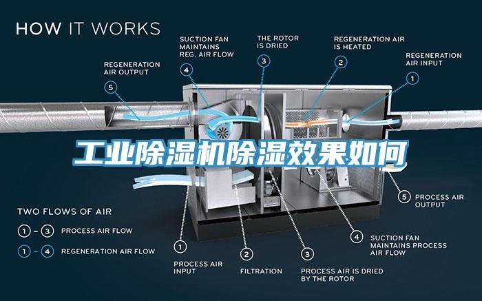 工業除濕機除濕效果如何