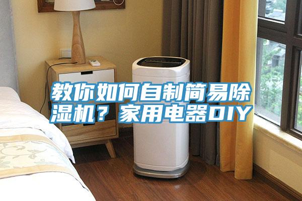 教你如何自制簡易除濕機？家用電器DIY