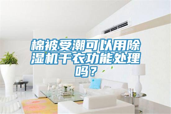 棉被受潮可以用除濕機干衣功能處理嗎？