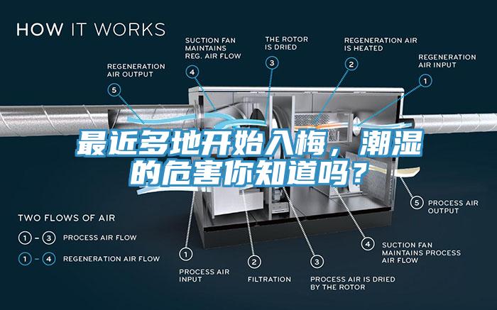 最近多地開始入梅，潮濕的危害你知道嗎？