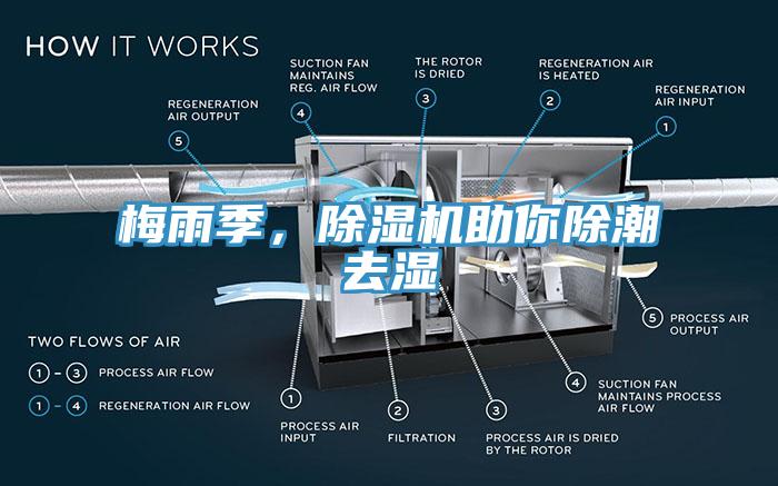 梅雨季，除濕機助你除潮去濕