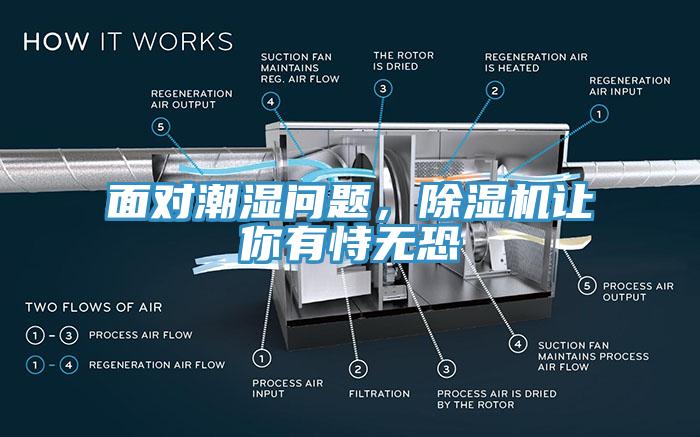 面對潮濕問題，除濕機讓你有恃無恐