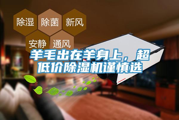 羊毛出在羊身上，超低價除濕機謹慎選