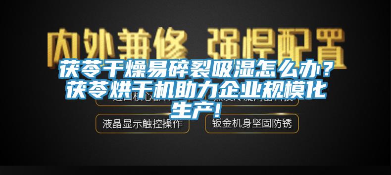 茯苓干燥易碎裂吸濕怎么辦？茯苓烘干機助力企業規模化生產!