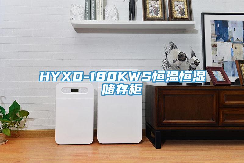 HYXD-180KWS恒溫恒濕儲存柜