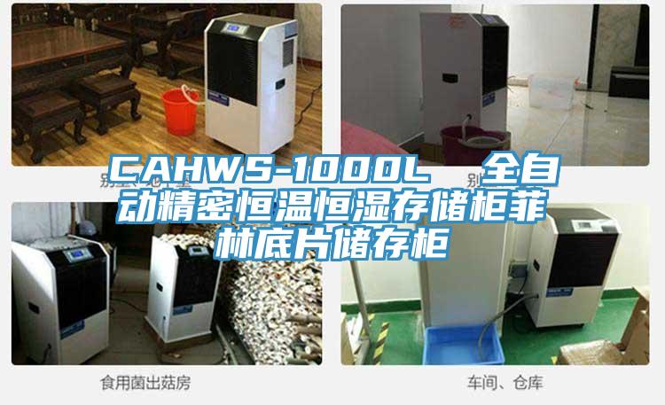 CAHWS-1000L  全自動精密恒溫恒濕存儲柜菲林底片儲存柜