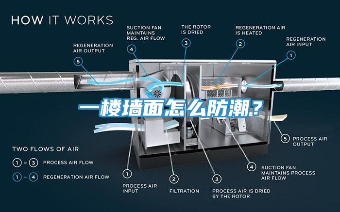 一樓墻面怎么防潮？