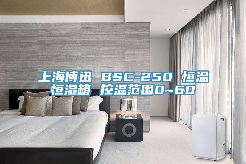 上海博迅 BSC-250 恒溫恒濕箱 控溫范圍0~60℃