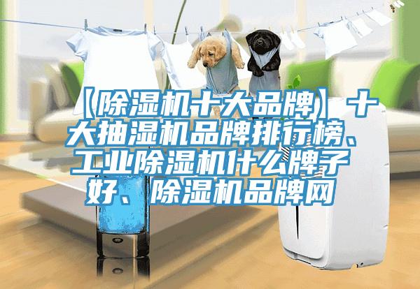 【除濕機十大品牌】十大抽濕機品牌排行榜、工業(yè)除濕機什么牌子好、除濕機品牌網(wǎng)