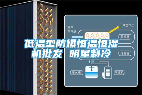 低溫型防爆恒溫恒濕機批發 明星制冷