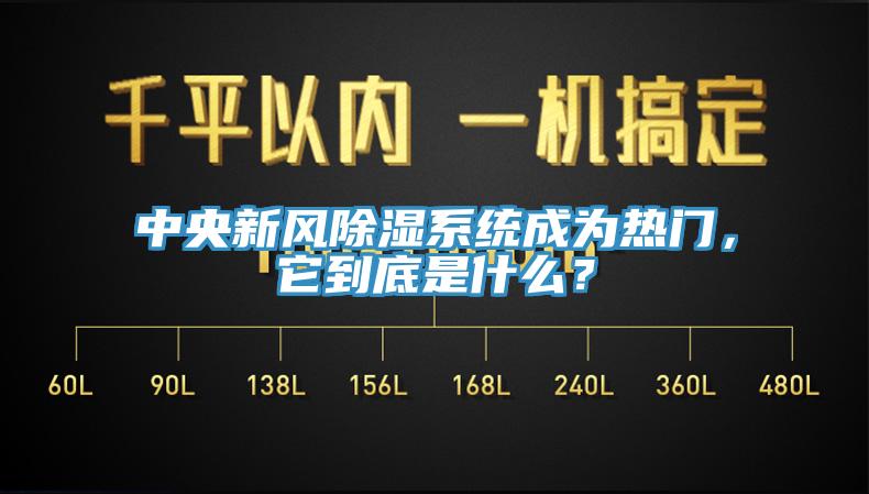 中央新風除濕系統(tǒng)成為熱門，它到底是什么？