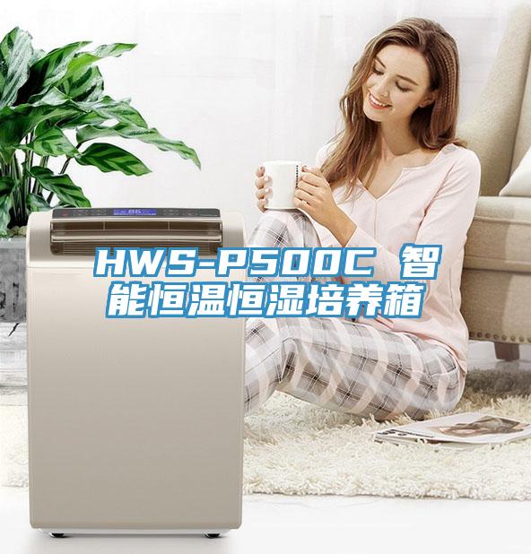 HWS-P500C 智能恒溫恒濕培養箱