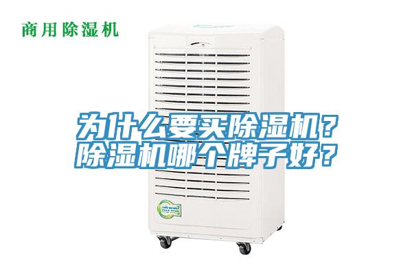 為什么要買除濕機(jī)？除濕機(jī)哪個(gè)牌子好？