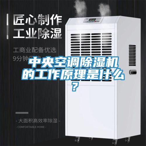 中央空調(diào)除濕機的工作原理是什么？