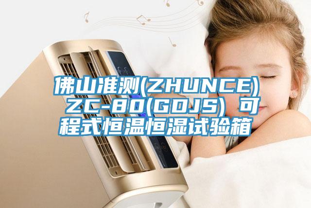 佛山準測(ZHUNCE) ZC-80(GDJS) 可程式恒溫恒濕試驗箱