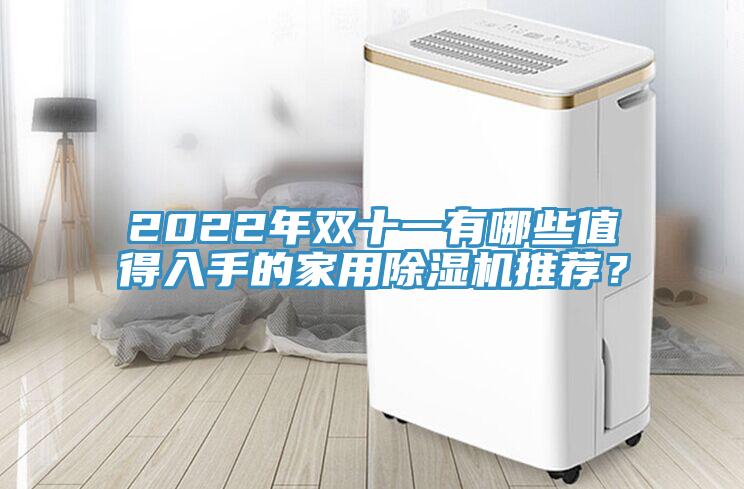 2022年雙十一有哪些值得入手的家用除濕機(jī)推薦？