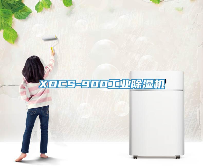 XDCS-900工業(yè)除濕機(jī)