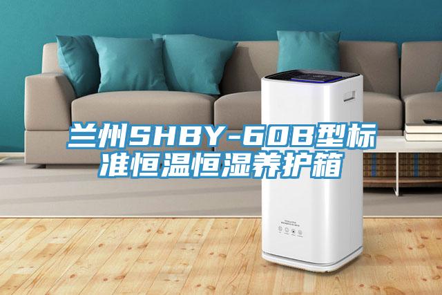 蘭州SHBY-60B型標準恒溫恒濕養護箱