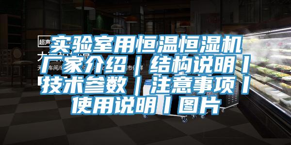 實驗室用恒溫恒濕機廠家介紹｜結構說明丨技術參數｜注意事項丨使用說明丨圖片