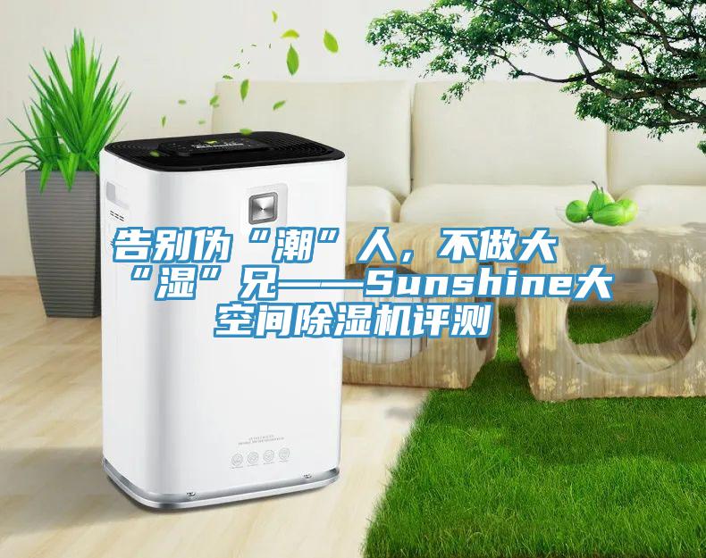 告別偽“潮”人，不做大“濕”兄——Sunshine大空間除濕機評測