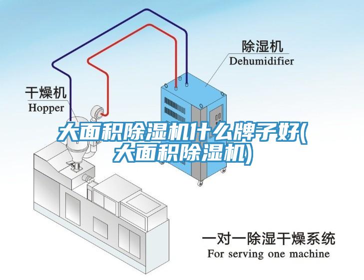 大面積除濕機什么牌子好(大面積除濕機)