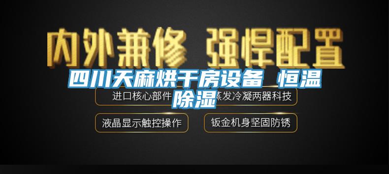 四川天麻烘干房設備 恒溫除濕