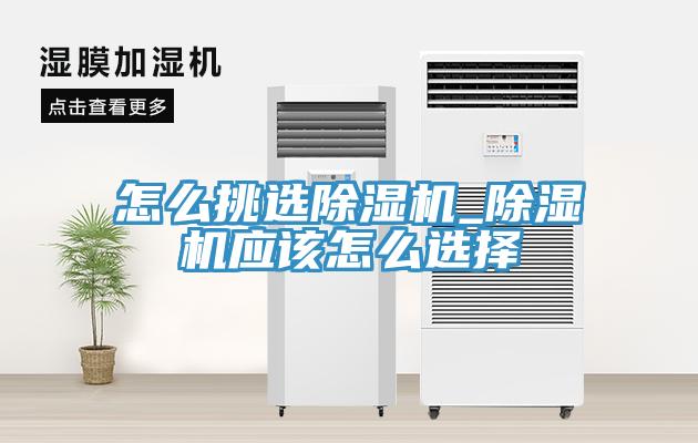 怎么挑選除濕機_除濕機應該怎么選擇