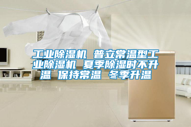 工業除濕機 普立常溫型工業除濕機 夏季除濕時不升溫 保持常溫 冬季升溫