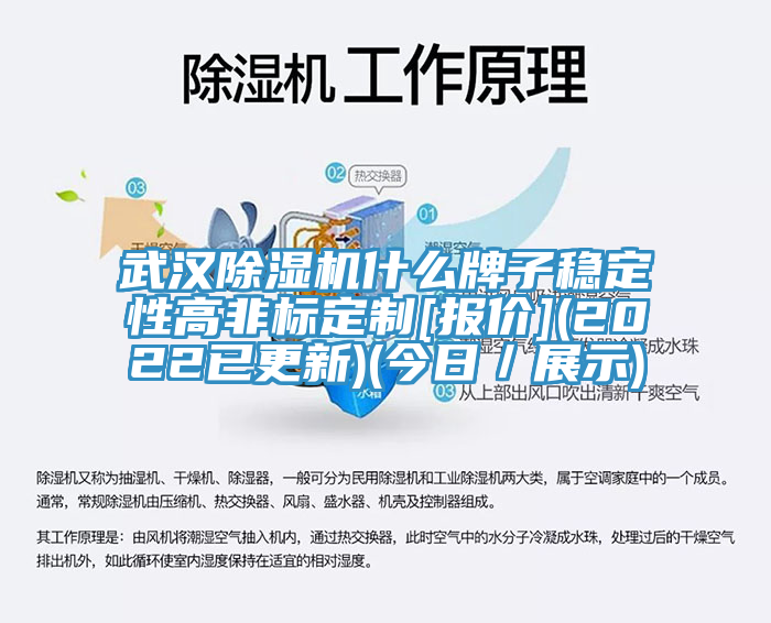 武漢除濕機什么牌子穩(wěn)定性高非標定制[報價](2022已更新)(今日／展示)