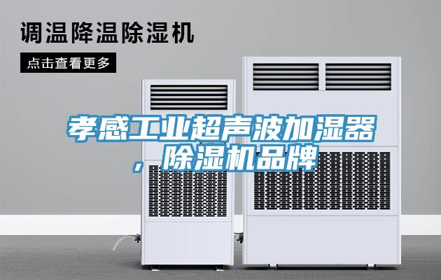 孝感工業超聲波加濕器，除濕機品牌