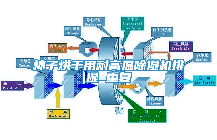 柿子烘干用耐高溫除濕機(jī)排濕_重復(fù)