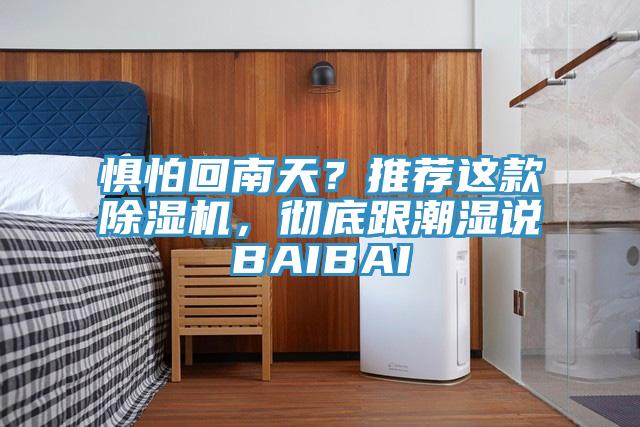 懼怕回南天？推薦這款除濕機，徹底跟潮濕說BAIBAI