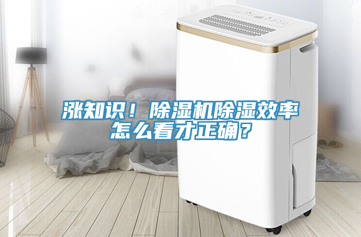 漲知識！除濕機除濕效率怎么看才正確？