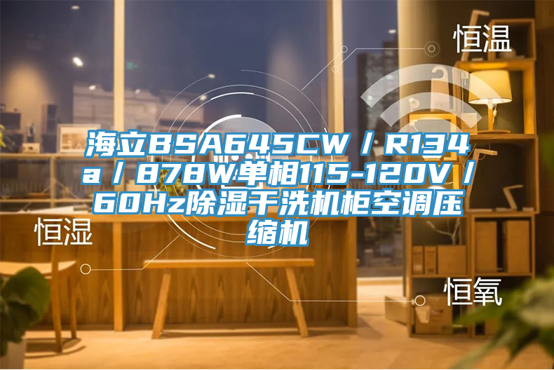 海立BSA645CW／R134a／878W單相115-120V／60Hz除濕干洗機柜空調(diào)壓縮機