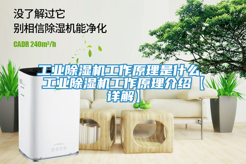 工業(yè)除濕機工作原理是什么 工業(yè)除濕機工作原理介紹【詳解】