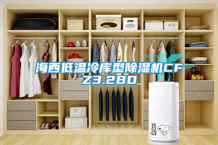 海西低溫冷庫型除濕機CFZ3.2BD