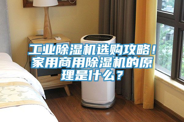 工業除濕機選購攻略！家用商用除濕機的原理是什么？