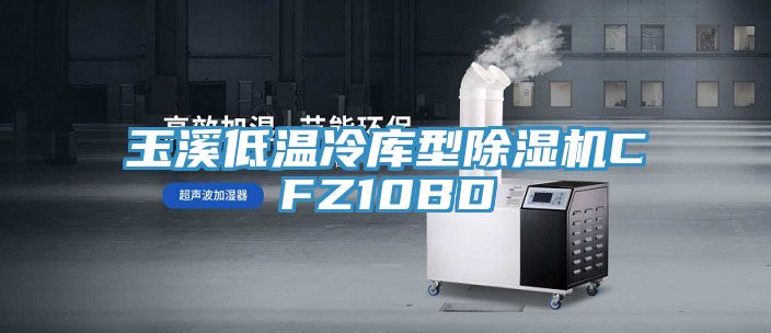 玉溪低溫冷庫型除濕機CFZ10BD