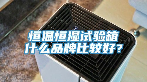 恒溫恒濕試驗箱什么品牌比較好？