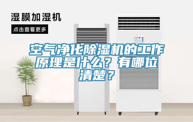 空氣凈化除濕機的工作原理是什么？有哪位清楚？