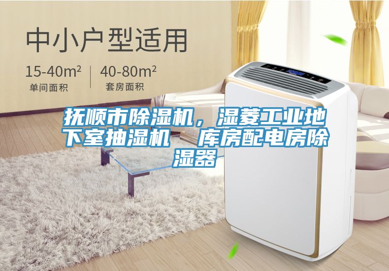 撫順市除濕機，濕菱工業(yè)地下室抽濕機  庫房配電房除濕器