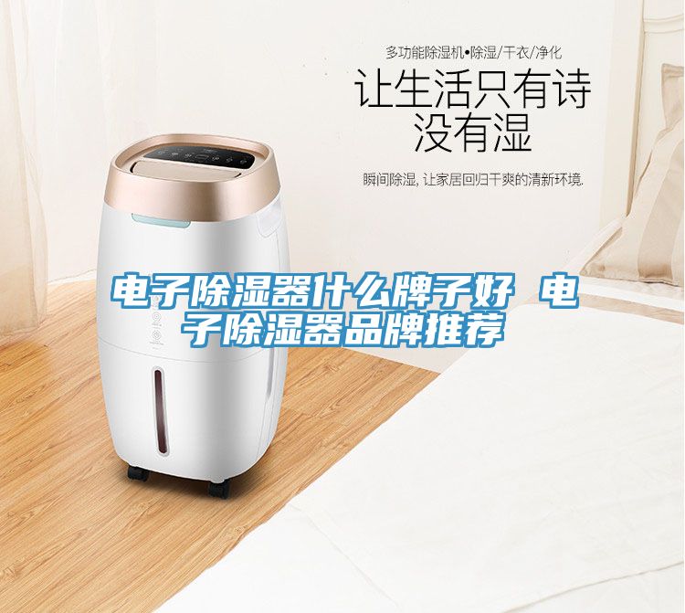 電子除濕器什么牌子好 電子除濕器品牌推薦