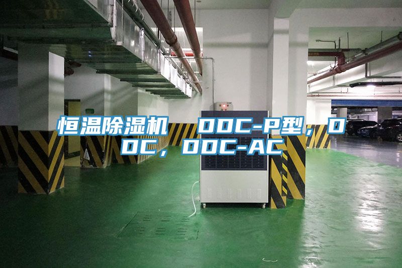 恒溫除濕機(jī)  DDC-P型，DDC，DDC-AC