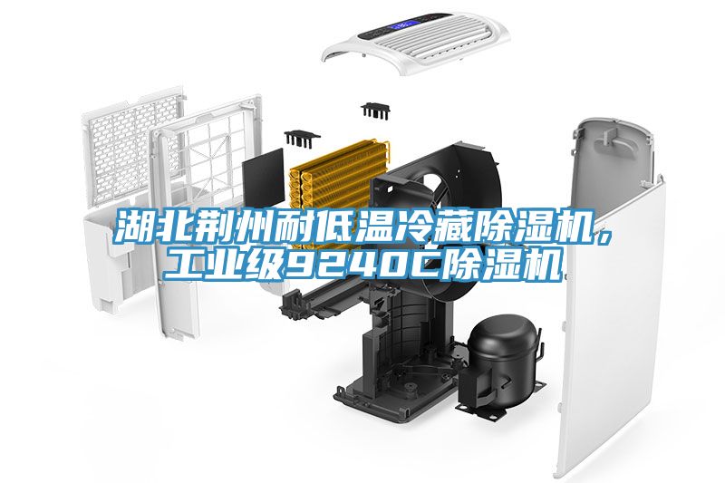 湖北荊州耐低溫冷藏除濕機，工業級9240C除濕機