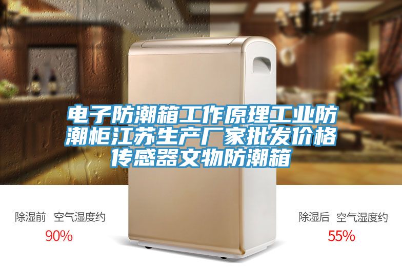 電子防潮箱工作原理工業防潮柜江蘇生產廠家批發價格傳感器文物防潮箱